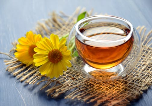 a refreshing glass of kombucha with herbs