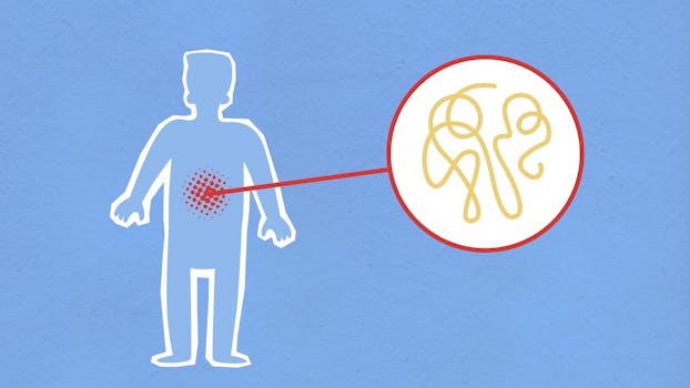 a diagram showing the digestive system